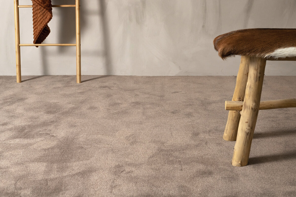 Nellie_Nougat_238849_Close